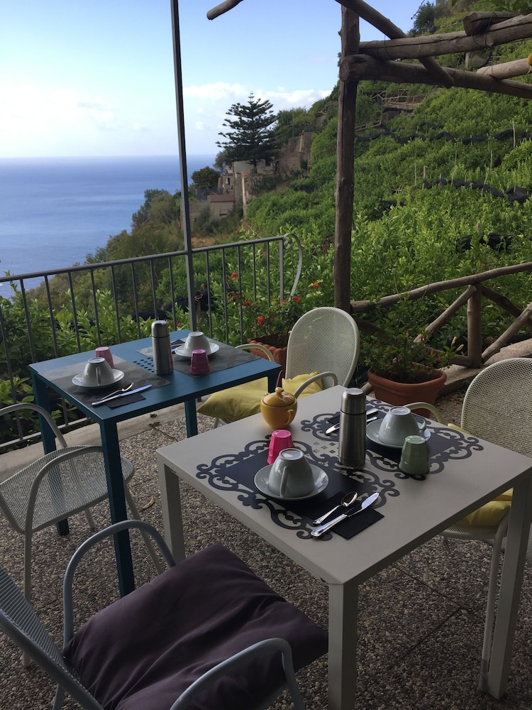 B&B I Limoni 12/50