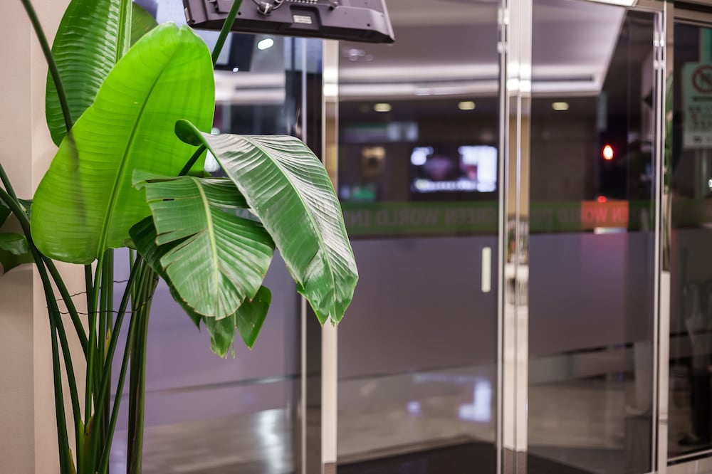 Green World Hotel Linsen 31/41