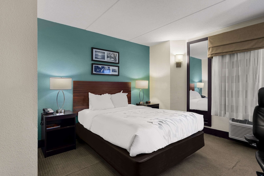 ROOM, QUEEN BED, ACCESSIBLE
