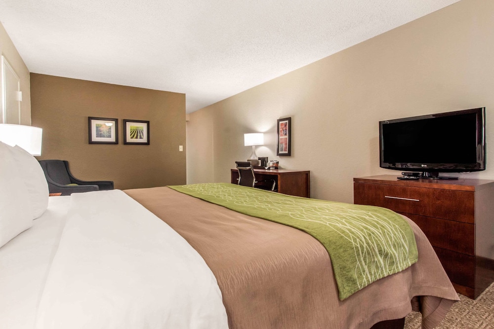 Comfort Inn and Suites Omaha Central 18/42