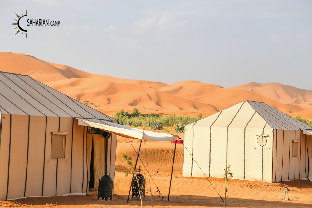 Saharian Camp 5/50