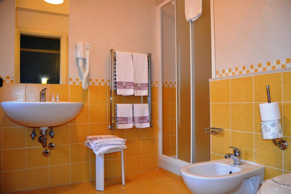 Diana Inn Accommodations 44/48