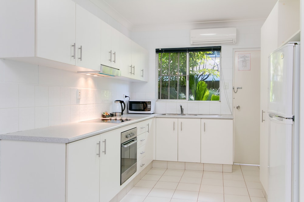 CAIRNS CITY PALMS 17/59