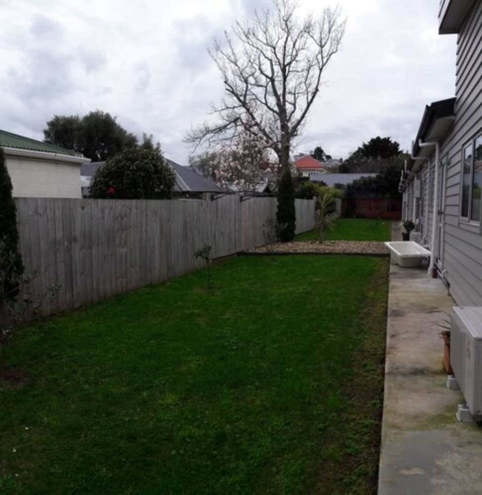 Auckland Phoenix Palm 25/32