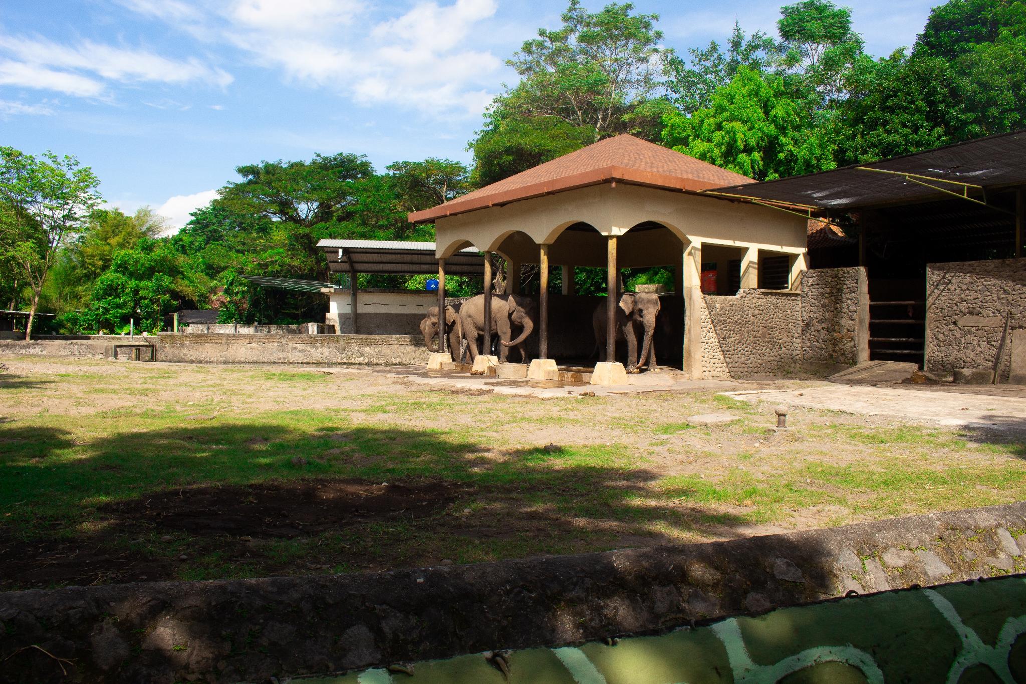 Bhumi Hostel 1/23
