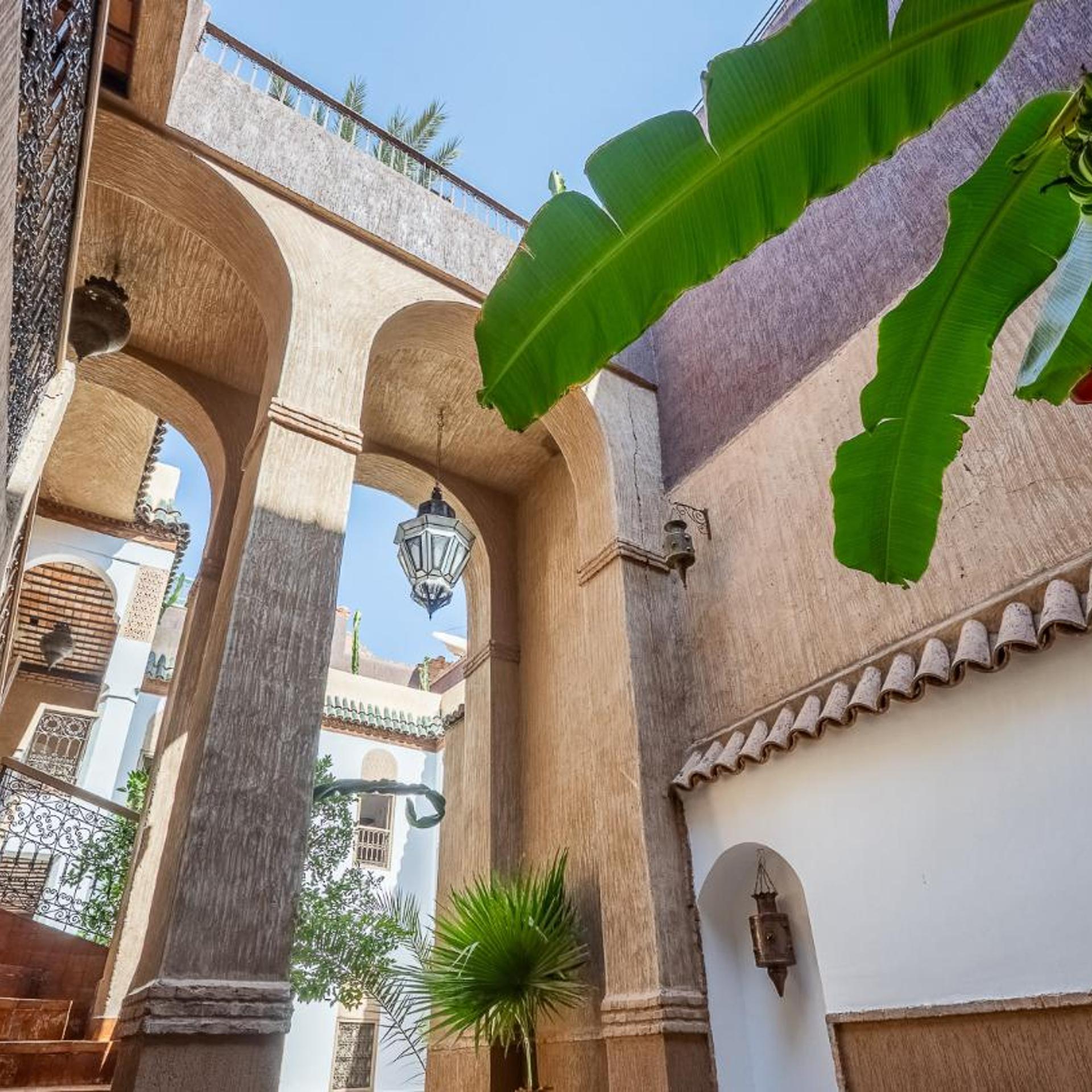 Riad Palmier 55/57