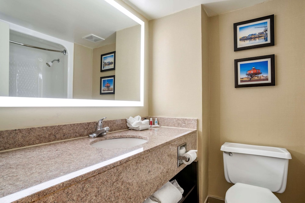 Comfort Inn Towson - Baltimore North 17/41