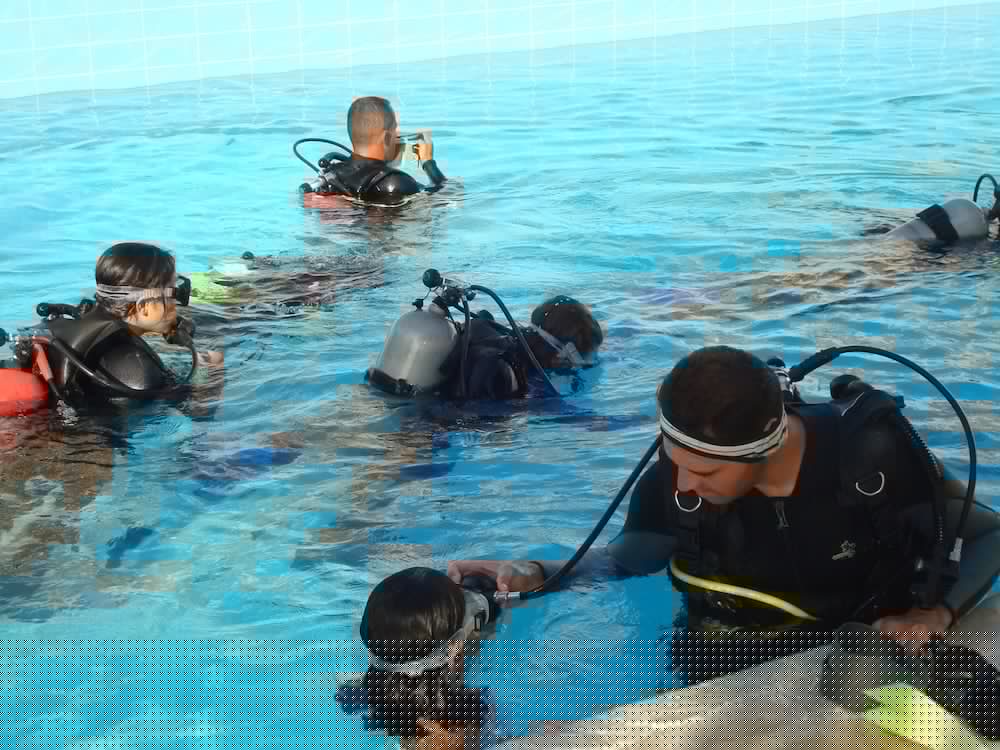 Red Sea Dive Center Hotel and Dive Center 17/29