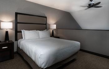 Signature, Loft, Suite