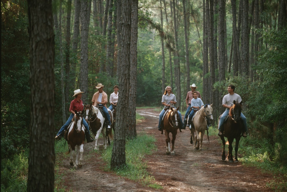 The Cabins at Disney's Fort Wilderness Resort - A Disney Vacation Club Resort 39/43