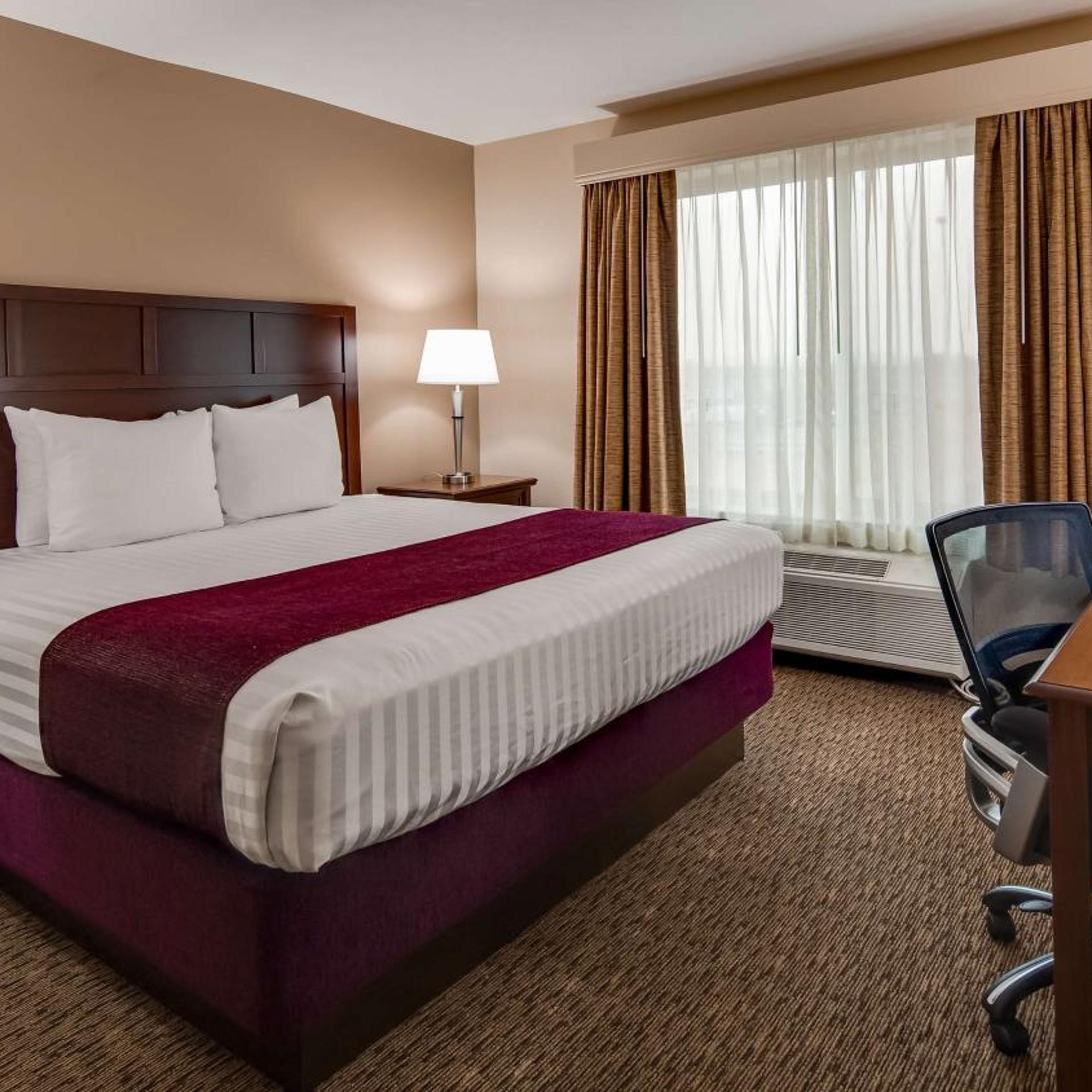 Room, King Bed, Vineyard View, Accessible