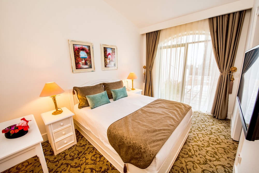 The Olive Tree Hotel 12/50