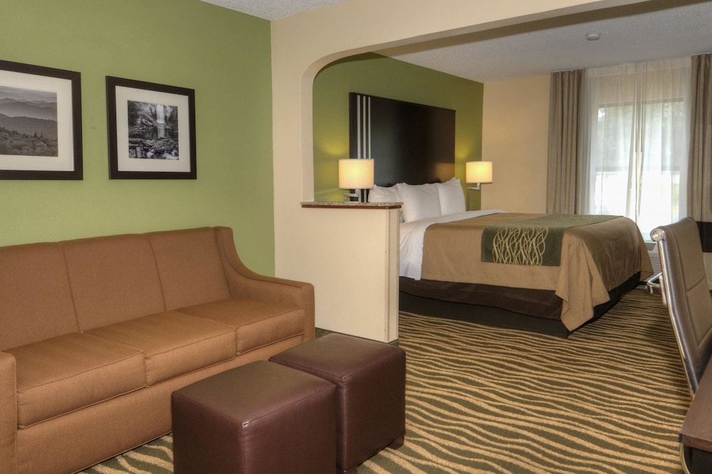Comfort Inn Marion NC 23/31