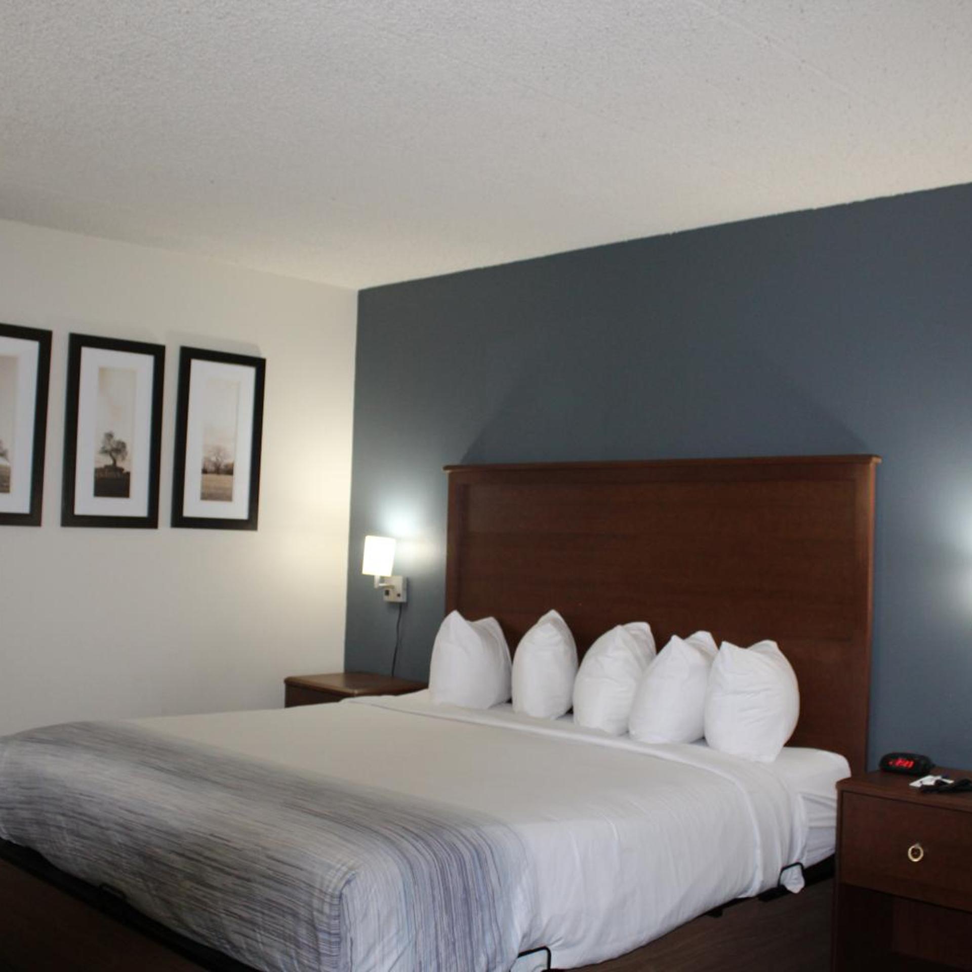 ROOM, KING BED, ACCESSIBLE
