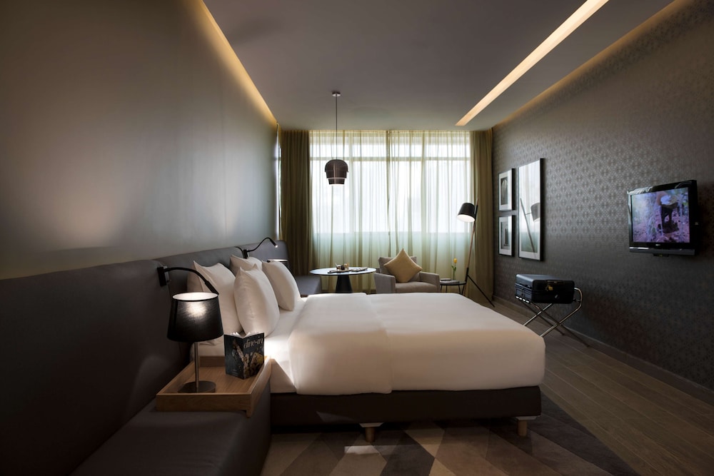 Radisson Blu Hotel Beirut Verdun 15/50