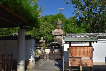 Hotel Chuo Oasis 6/60