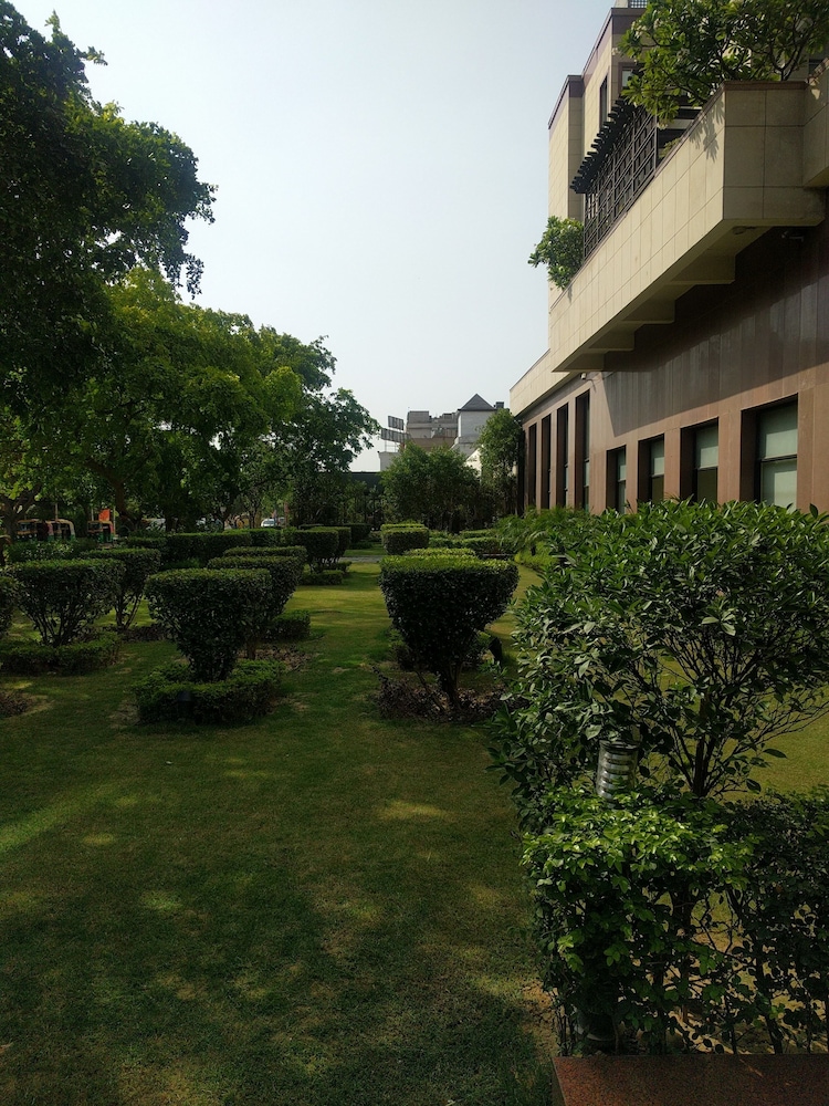 吉鲁克柠檬树高级 1 号酒店(LEMON TREE PREMIER 1 , GURUGRAM) 图片4