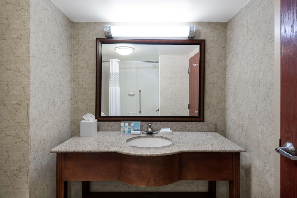 Hampton Inn Roanoke/Hollins - I-81 27/37