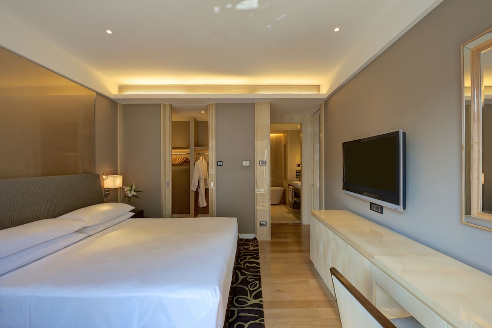 Hyatt Regency Pune Hotel and Residences 19/79