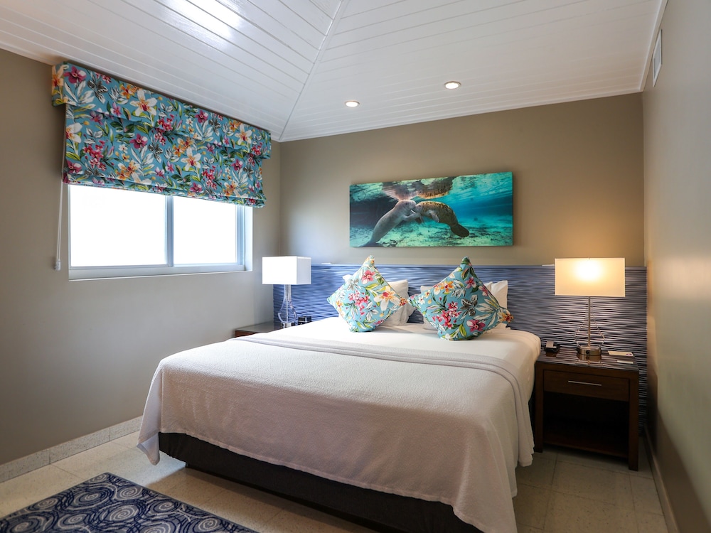 SPA, JUNIOR SUITE, KING BED
