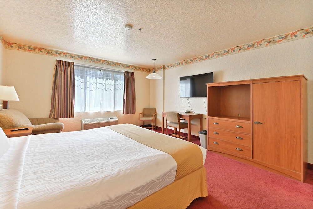 Murphys Suites 20/66