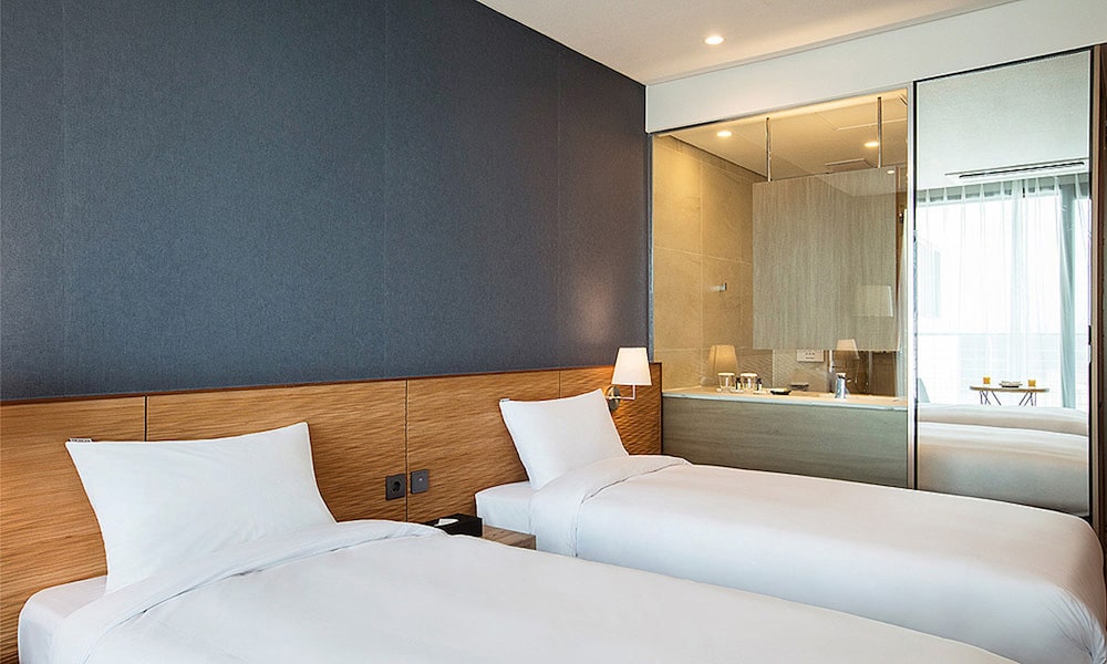 DELUXE, TWIN BEDS, CITY VIEW