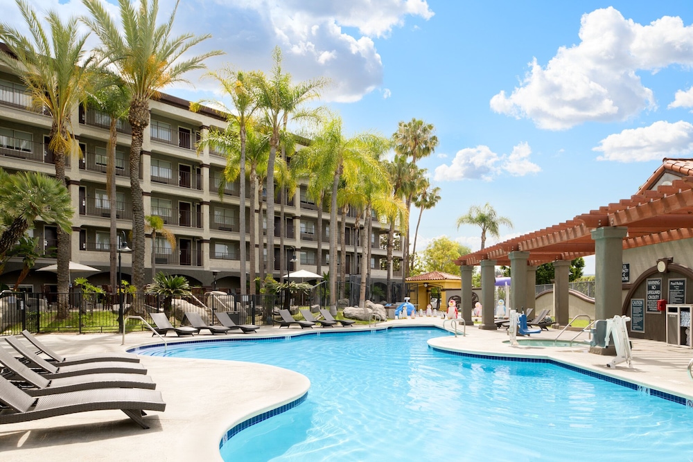 Four Points By Sheraton Anaheim photo5
