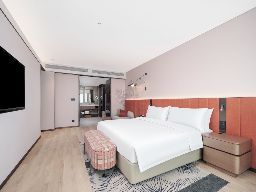 Hilton Garden Inn Mianyang Santai 10/48