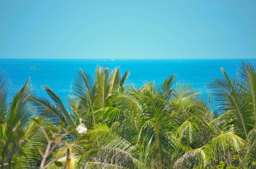 Coral Bay Resort Phu Quoc 61/73