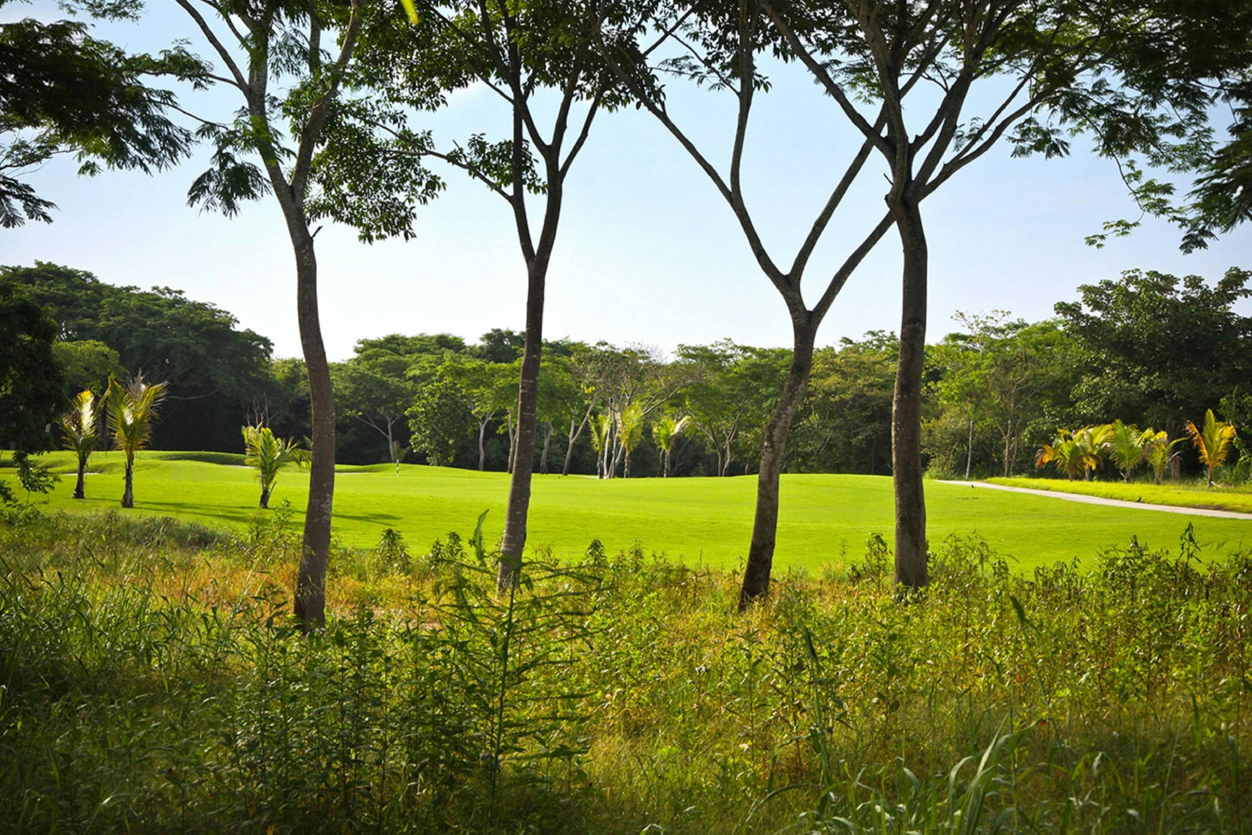 The Buenaventura Golf & Beach Resort Panama, Autograph Collection 31/79