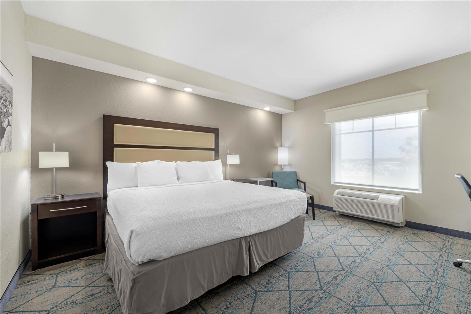 Room, King Bed
