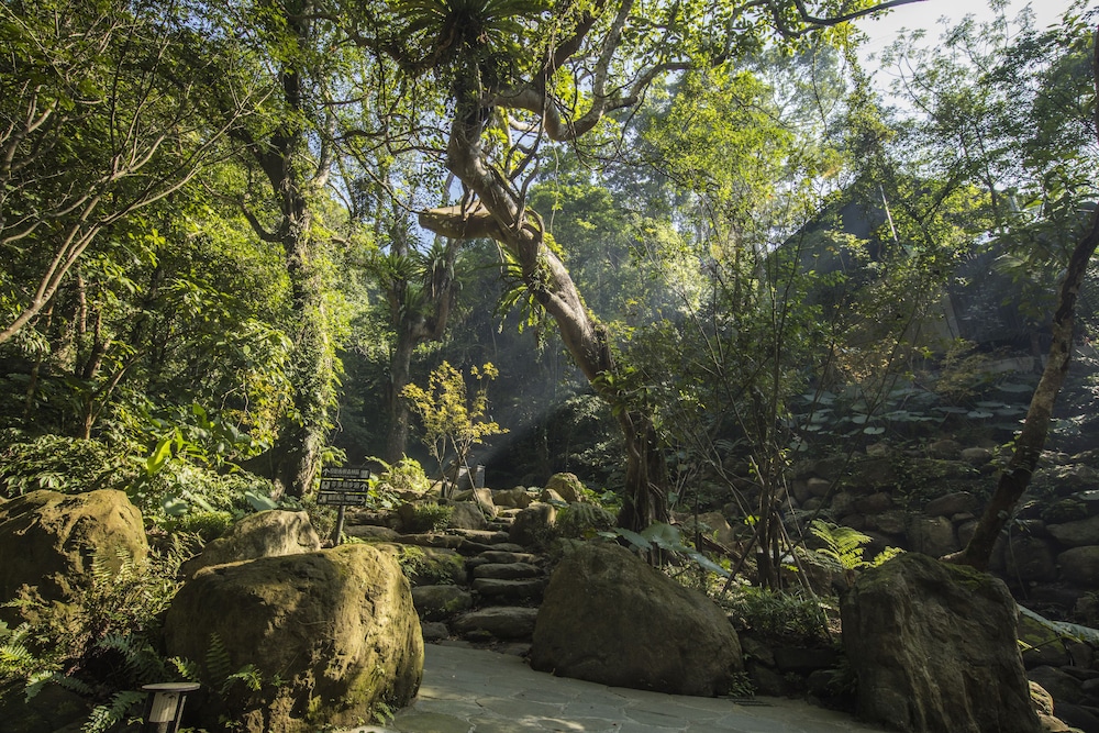 大板根森林温泉酒店(The Great Roots Forestry SPA Resort) 图片2