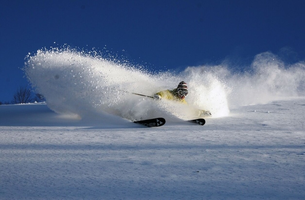 Niseko Hirafu Izumikyo Rental Cottage 46/50