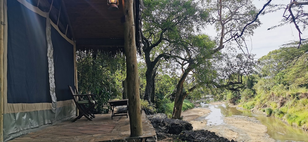 Fig Tree Camp 39/45