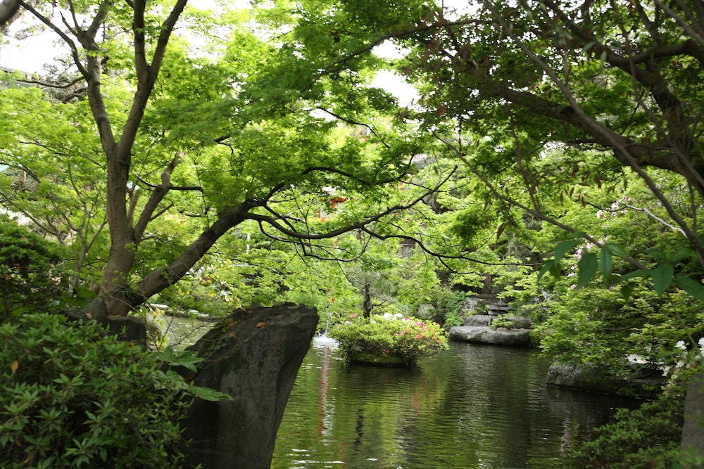 Taisenkaku 42/50