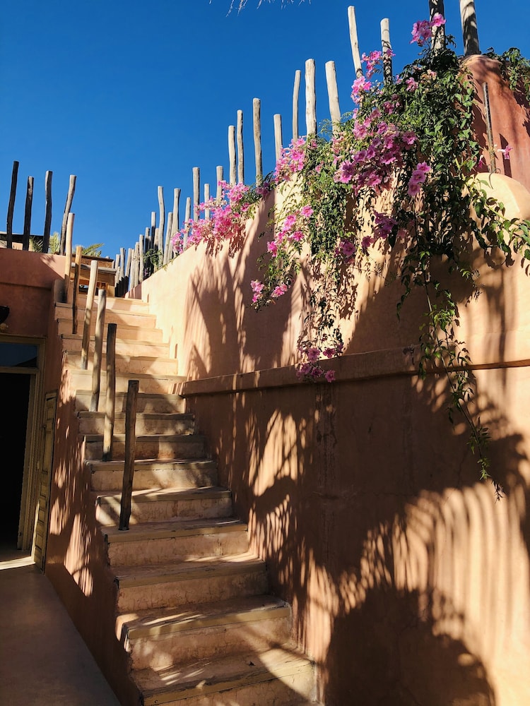Riad 144 41/50