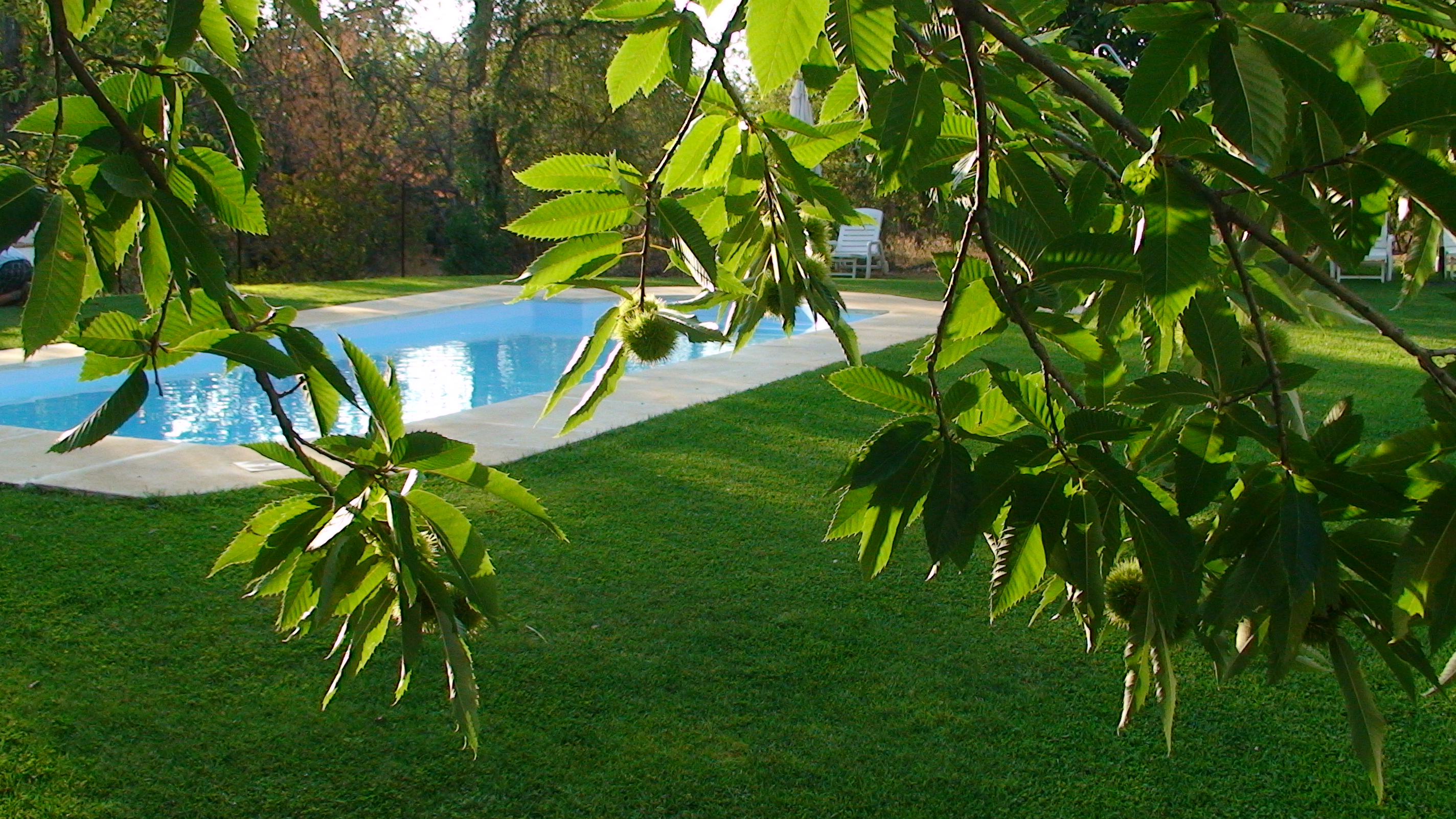 Finca la Media Legua 16/24