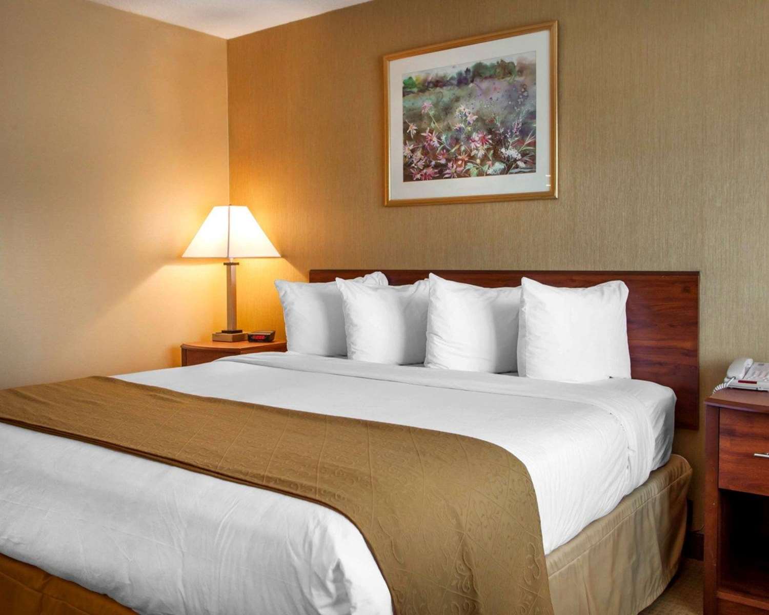 Quality Inn Meadowlands 9/24