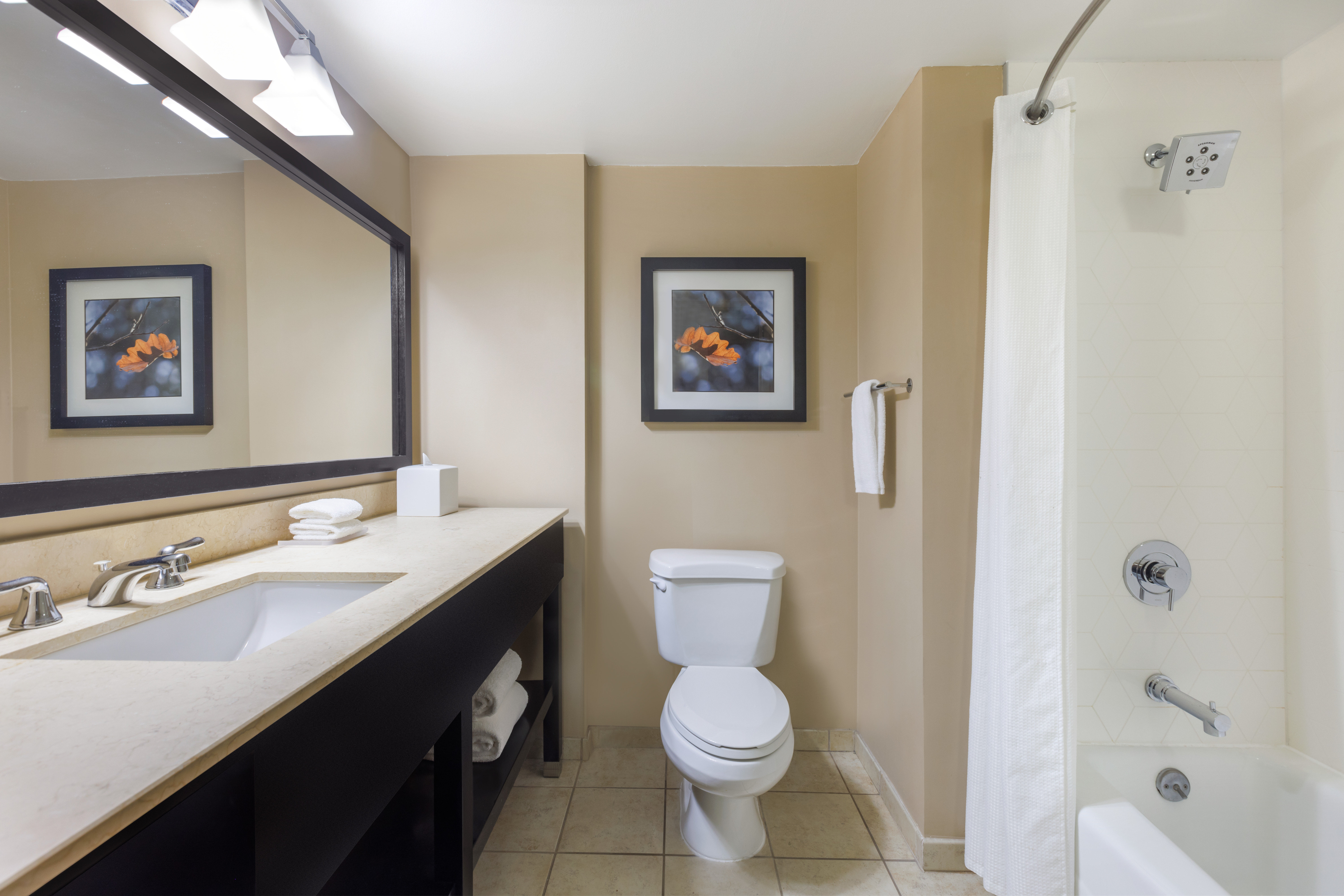 Crowne Plaza Cleveland At Playhouse Square An Ihg Hotel 76/77