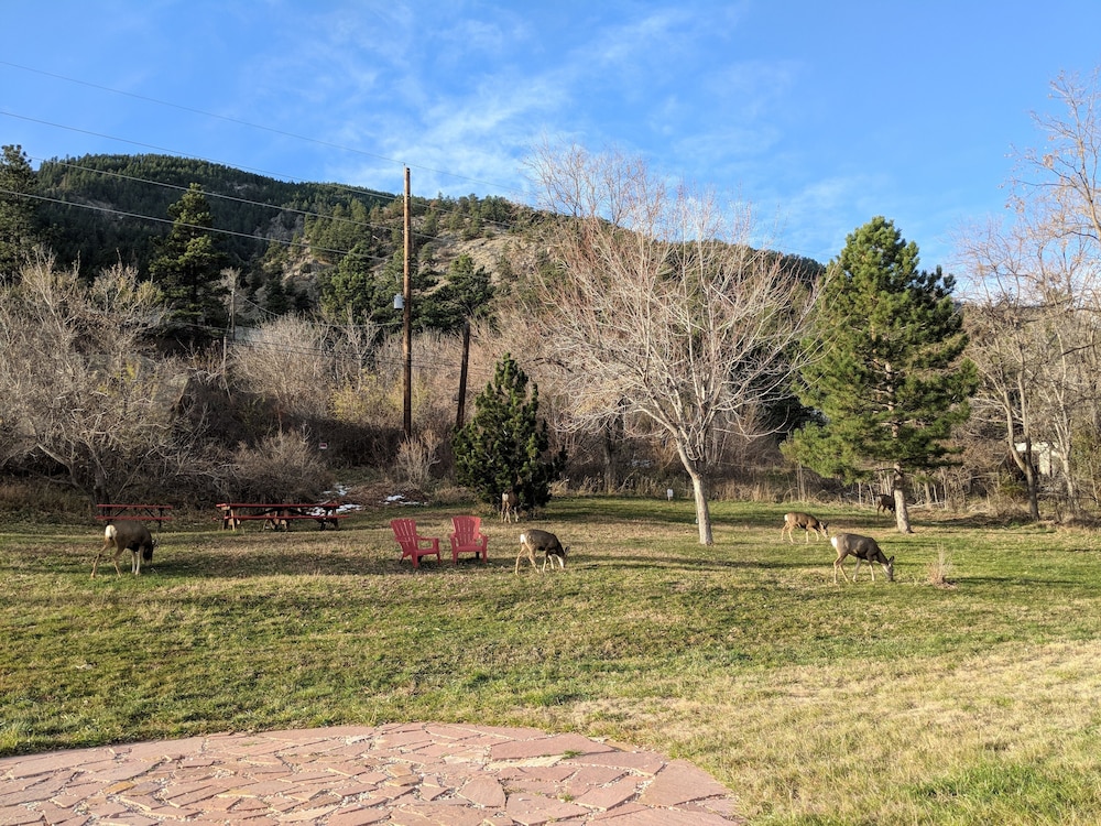 Foot of the Mountain Motel 68/71