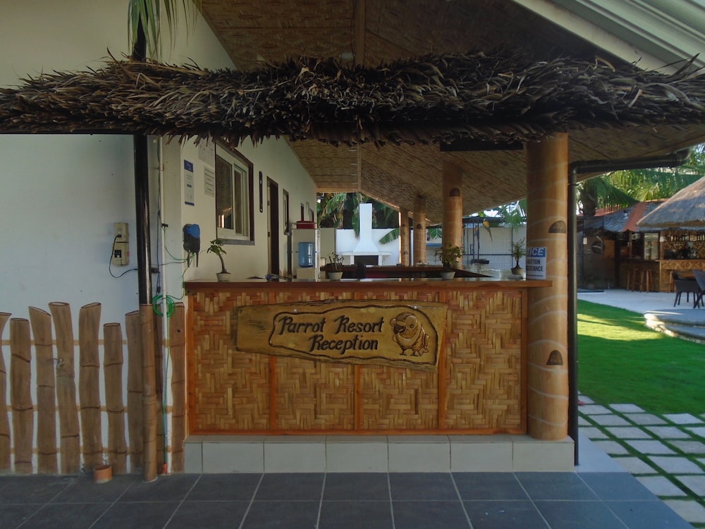 Parrot Resort Moalboal 6/50