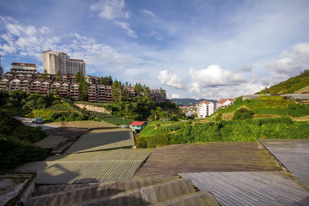 Kea Garden Guesthouse 23/30