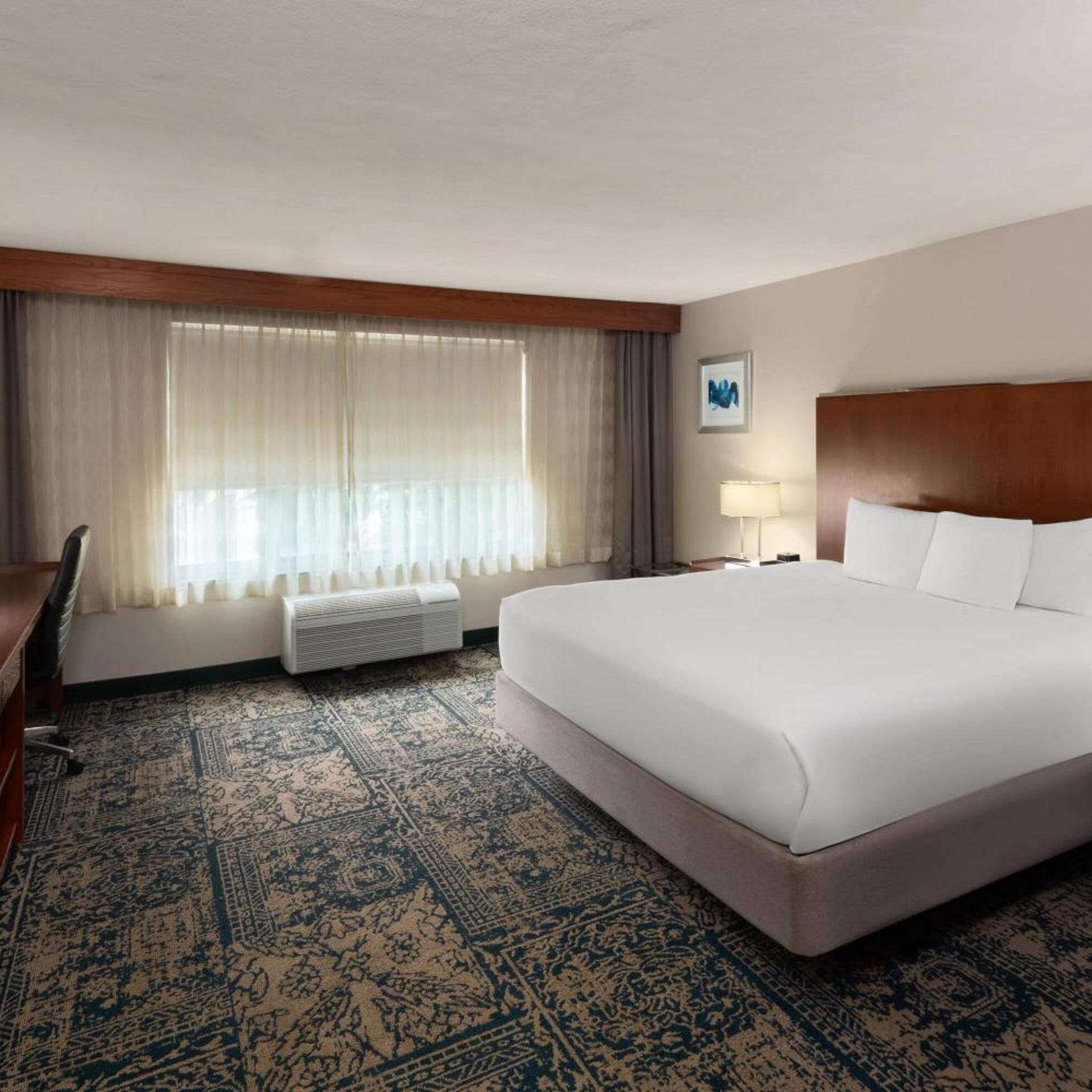 1 Bedroom, Suite, King Bed