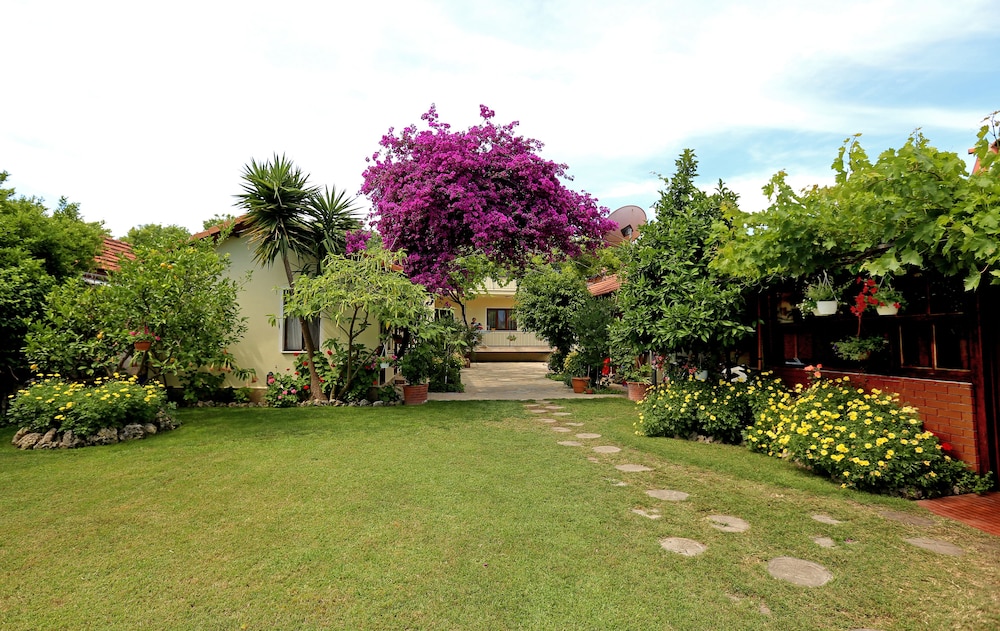 Midas Pension 29/50