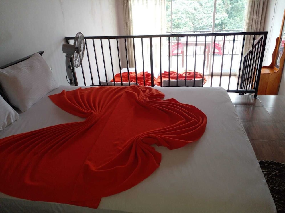STANDARD, KING AND TWIN BEDS
