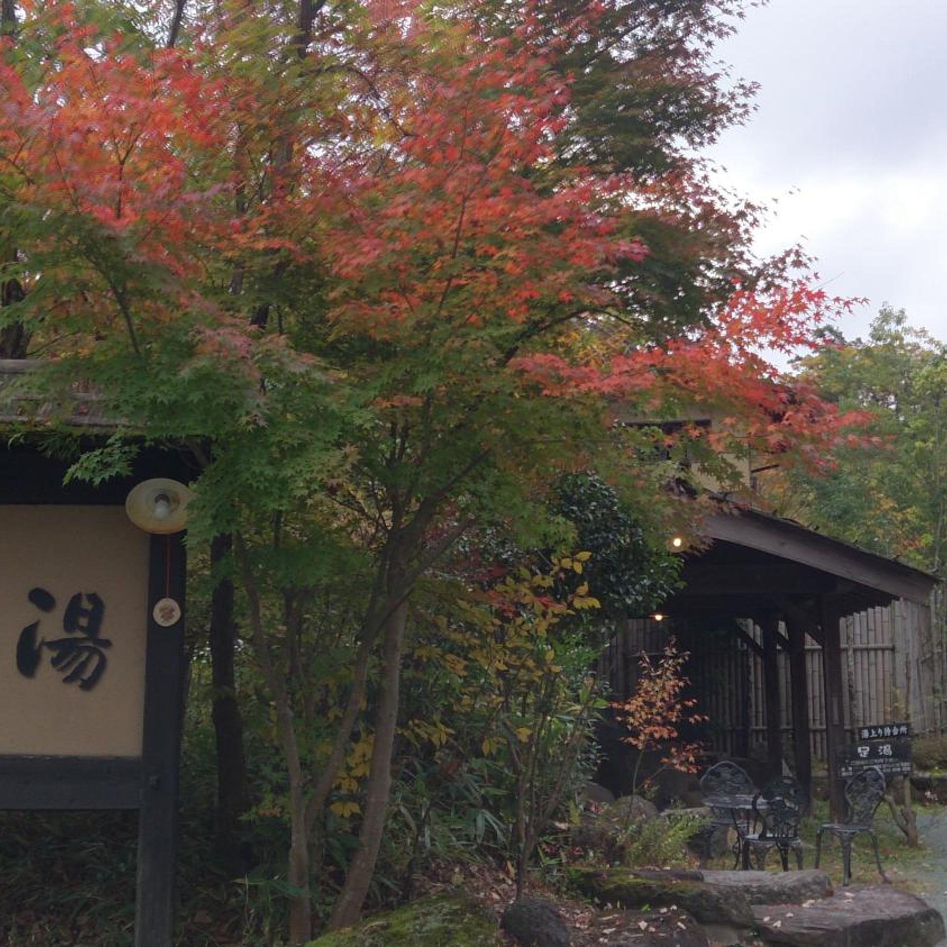 Ryokan Kono-Yu 46/50