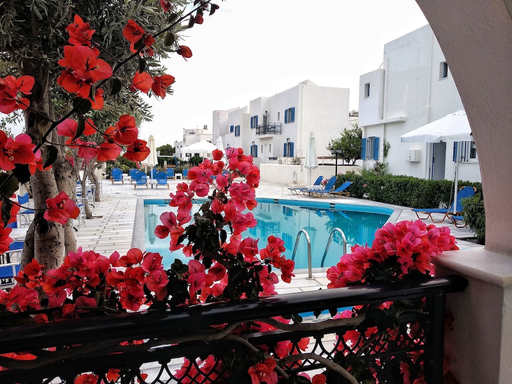 Dedalos Studios Naxos 37/50