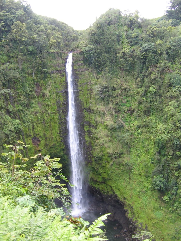 Ixchel Hawaii 26/48