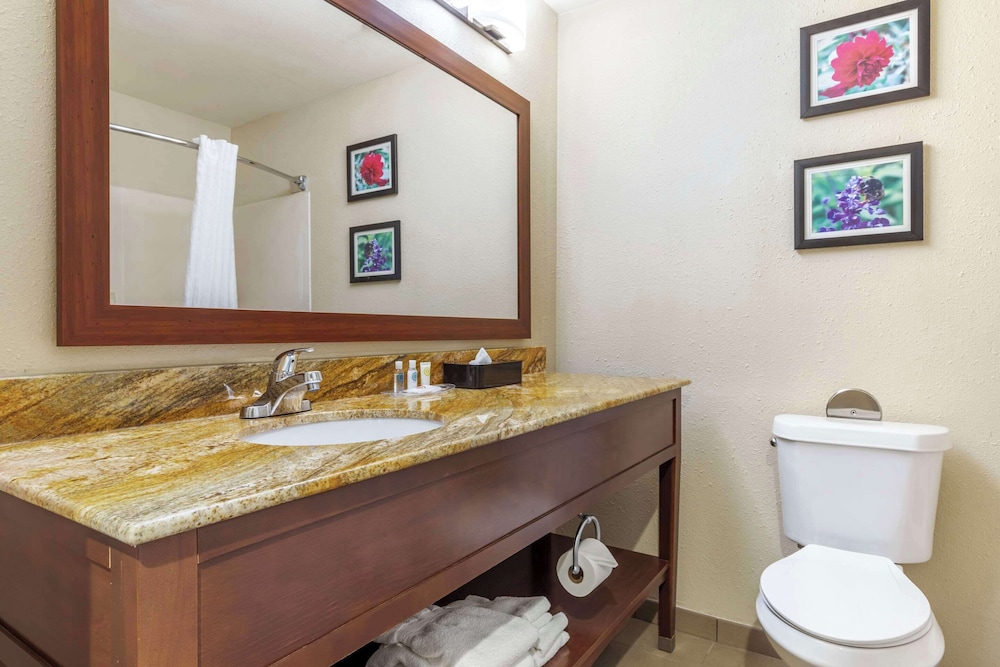 غرفة قياسية بسرير كينج، Comfort Inn & Suites Temple - Medical Center 5/5