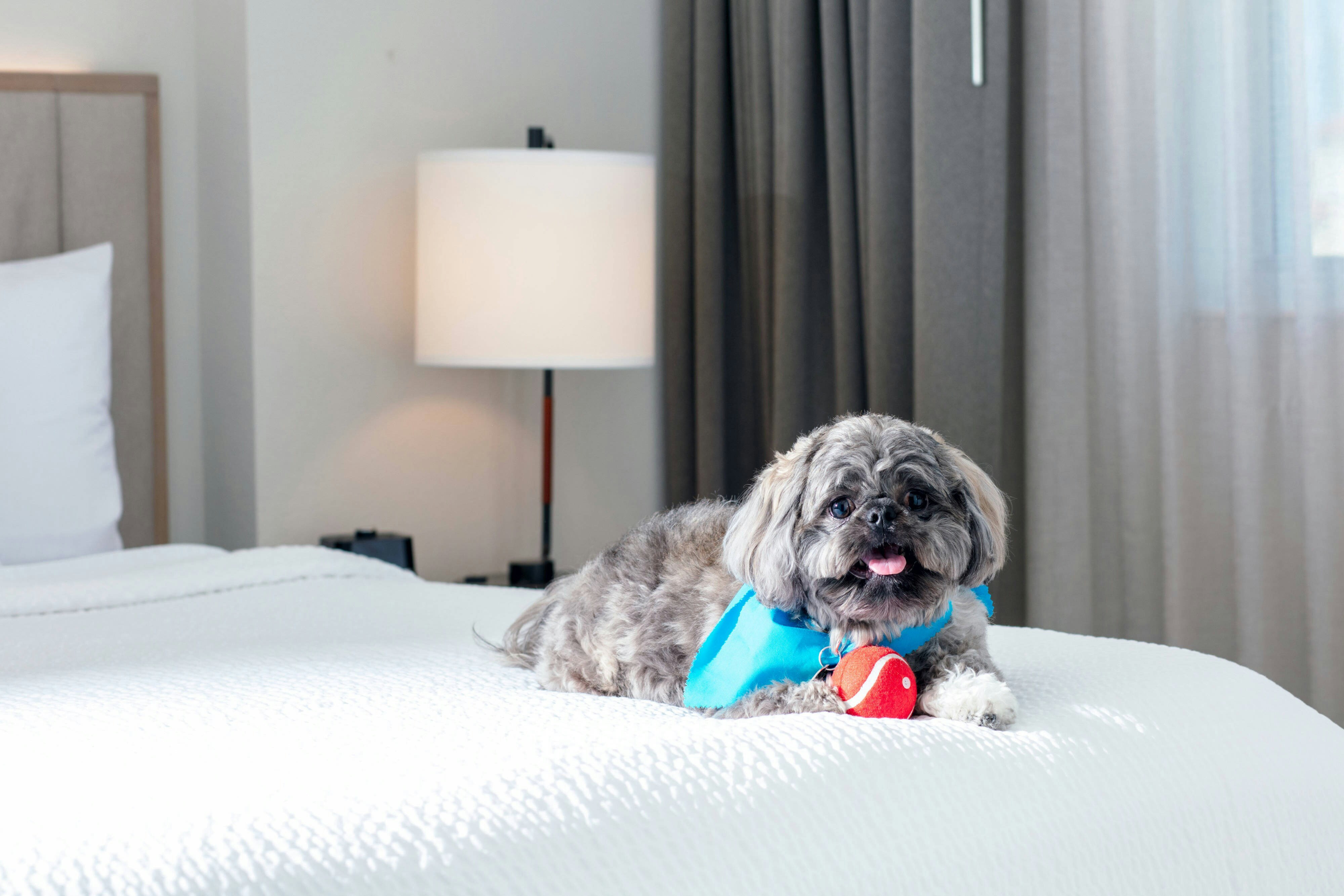 Residence Inn at Aventura Mall Marrriott 3/21